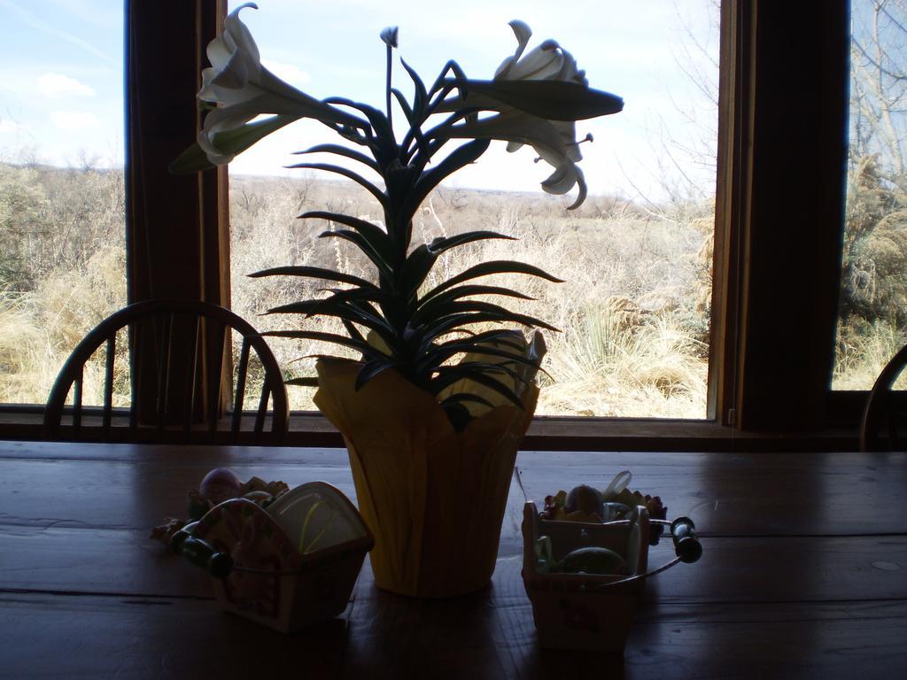 Silver River Adobe Inn Bed And Breakfast ฟาร์มิงตัน ภายนอก รูปภาพ