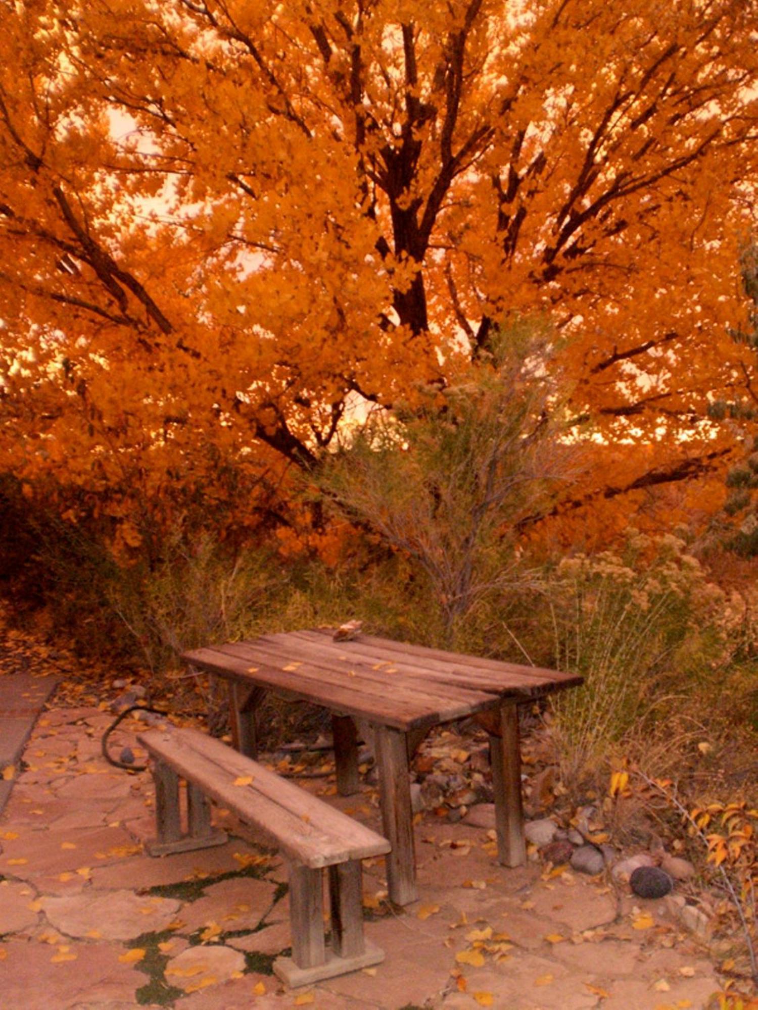 Silver River Adobe Inn Bed And Breakfast ฟาร์มิงตัน ภายนอก รูปภาพ