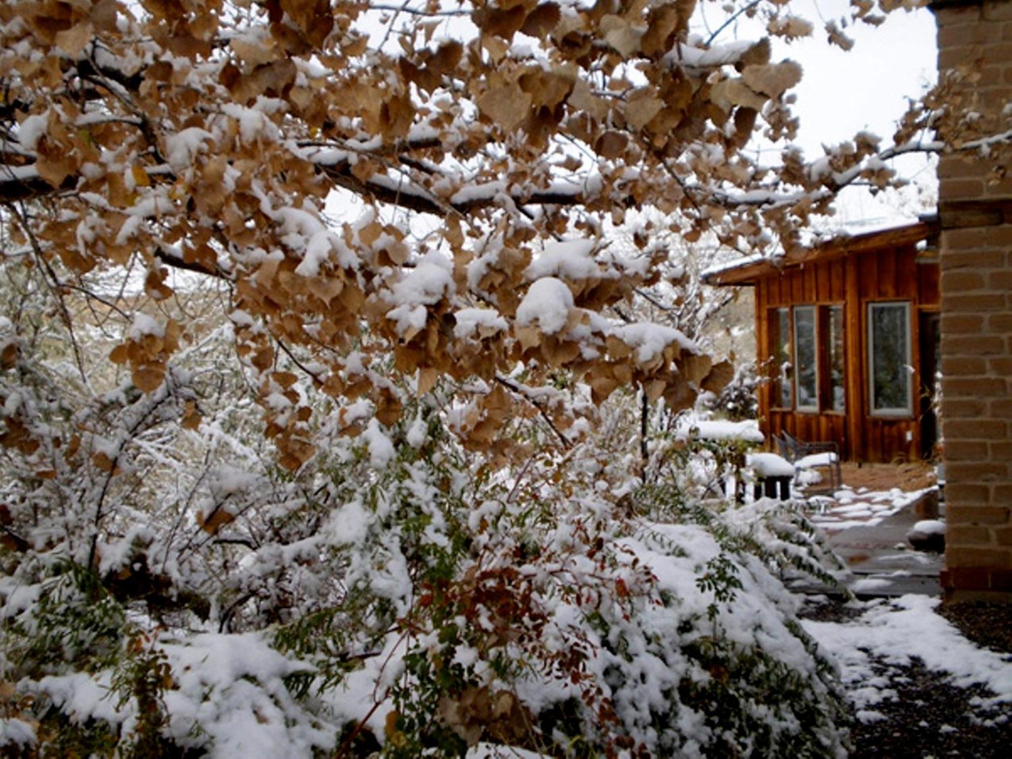 Silver River Adobe Inn Bed And Breakfast ฟาร์มิงตัน ภายนอก รูปภาพ